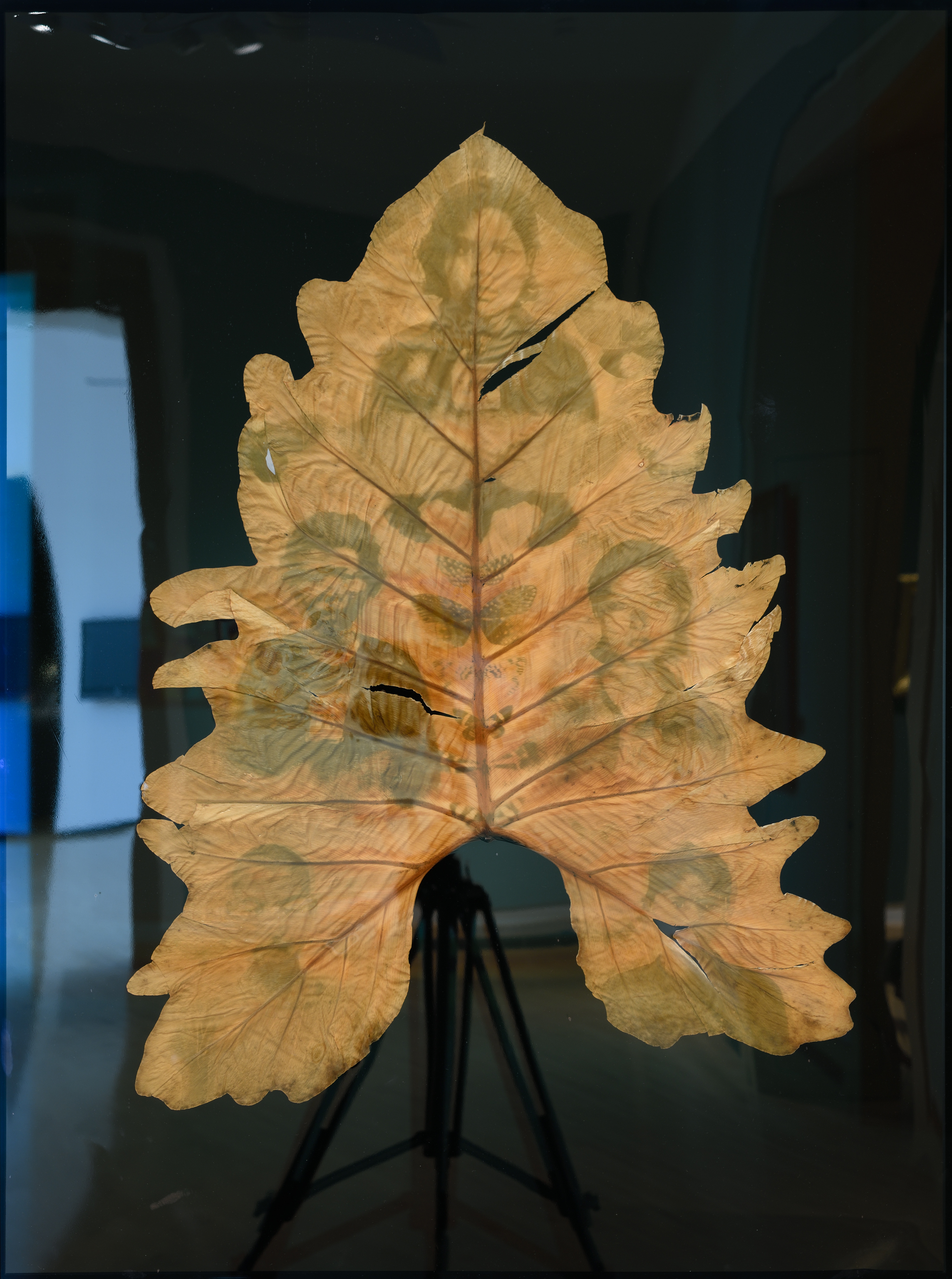 Ancestral Altar # 14